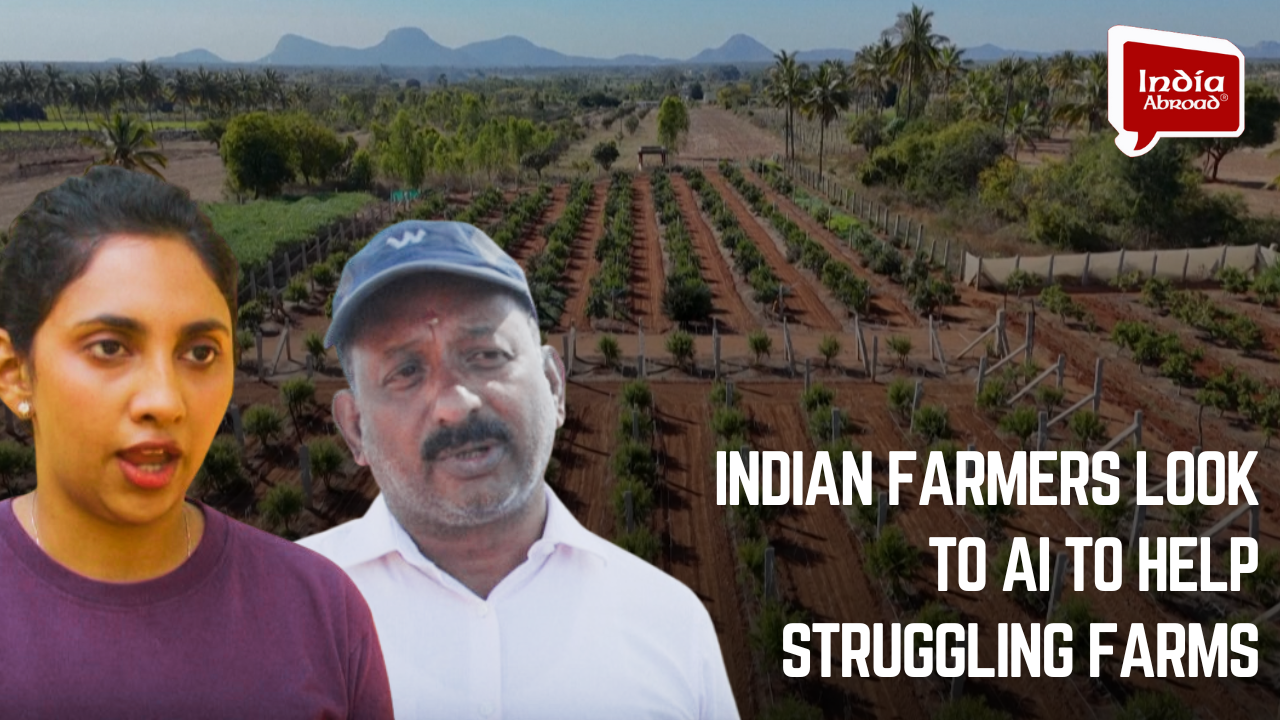 Indian farmers look to AI to help struggling farms